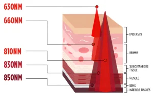 What is Red Light Therapy?